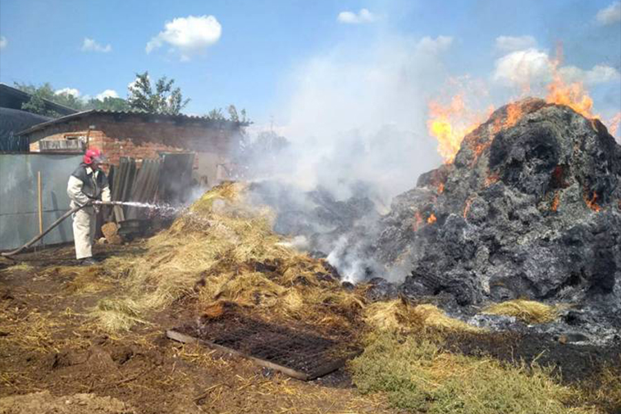 На Вінниччині вогонь знищив запаси корму для свійських тварин
