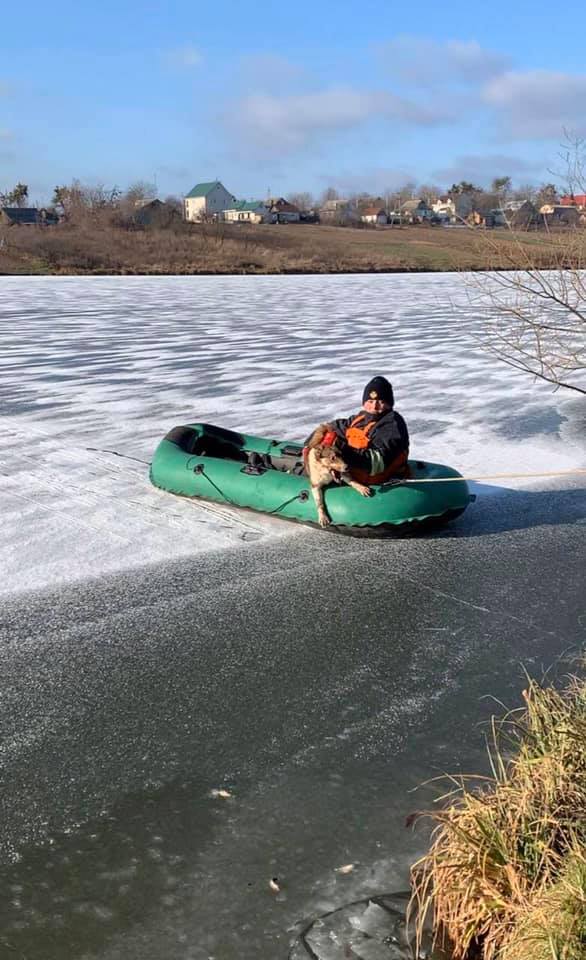 Вінницькі рятувальники врятували пса з крижаної водойми