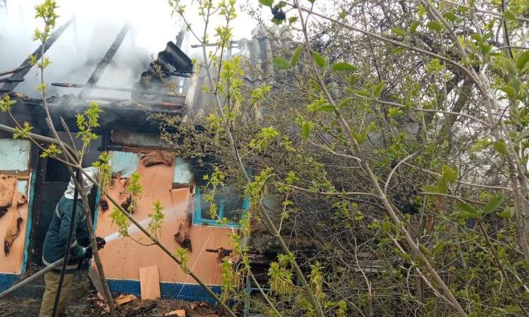 У пожежі на Вінниччині загинула власниця будинку
