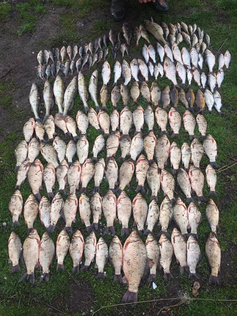 На Вінниччині браконьєр нашкодив рибному господарству на 12 тисяч гривень