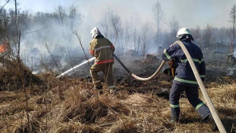 Пожежники Вінниччини 49 разів виїжджали на боротьбу з пожежою у екосистемах протягом останньої доби