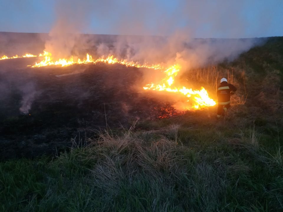 Протягом минулої доби на Вінниччині зафіксували 5 пожеж у екосистемах
