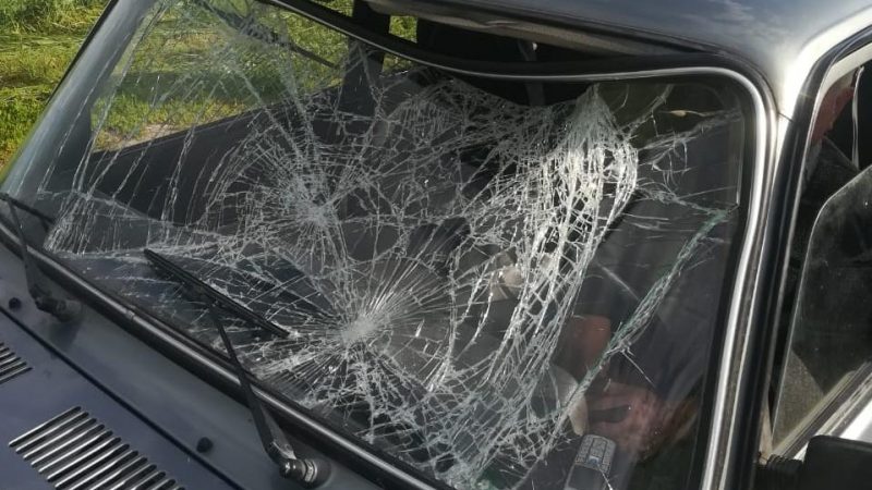 На Вінниччині водійка збила колишнього співмешканця. Чоловік загинув