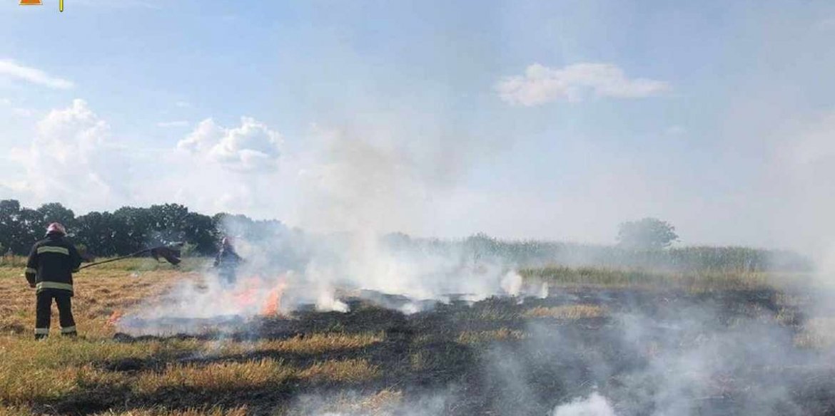 На Вінниччині вигоріло 3 га сухої трави через необережне поводження з вогнем