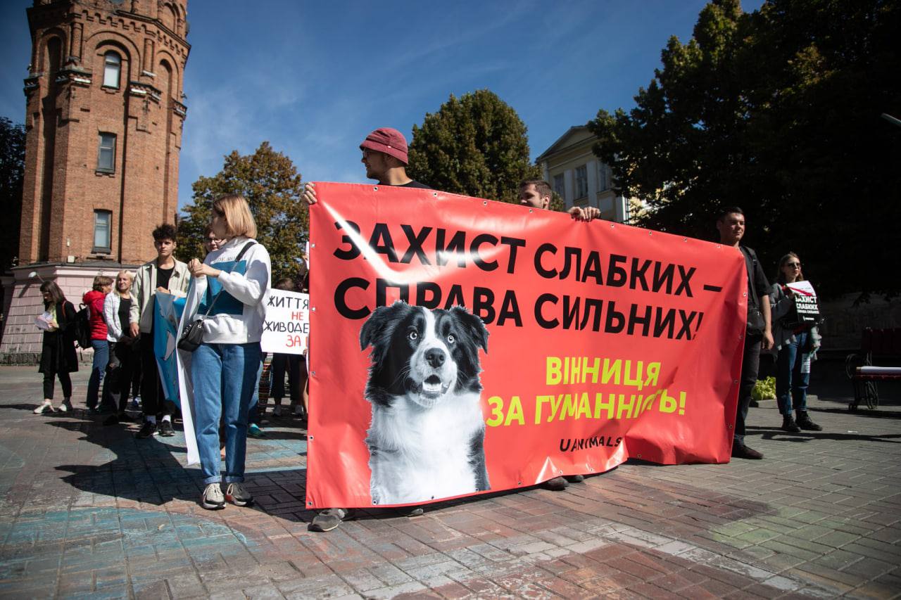У Вінниці 5 вересня  пройде марш на захист тварин