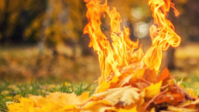 У Вінниці працюють спеціальні мобільні групи по протидії спалюванню листя
