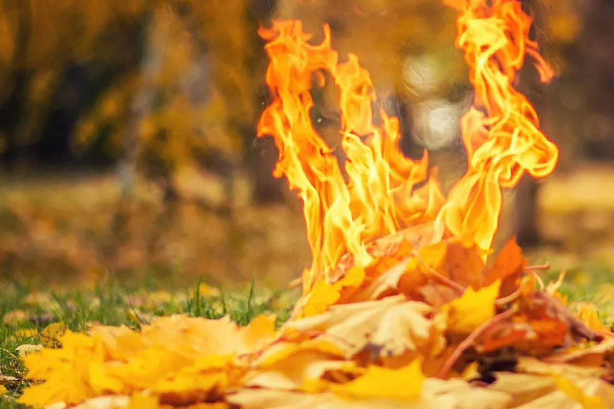 У Вінниці працюють спеціальні мобільні групи по протидії спалюванню листя