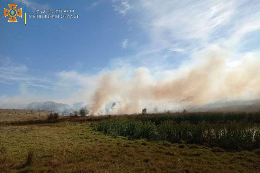 На Вінниччині сталося 10 пожеж в екосистемах