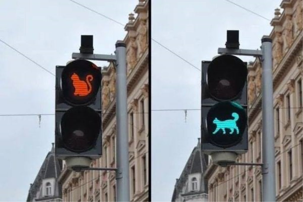 Вінничанин зареєстрував петицію, в якій пропонує у центрі міста обладнати  пішохідний світлофор з зображенням кота