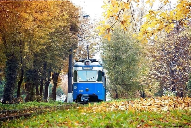 Вінничани можуть стежити за рухом громадського транспорту  через мобільний додаток «Vinnytsia Transport»