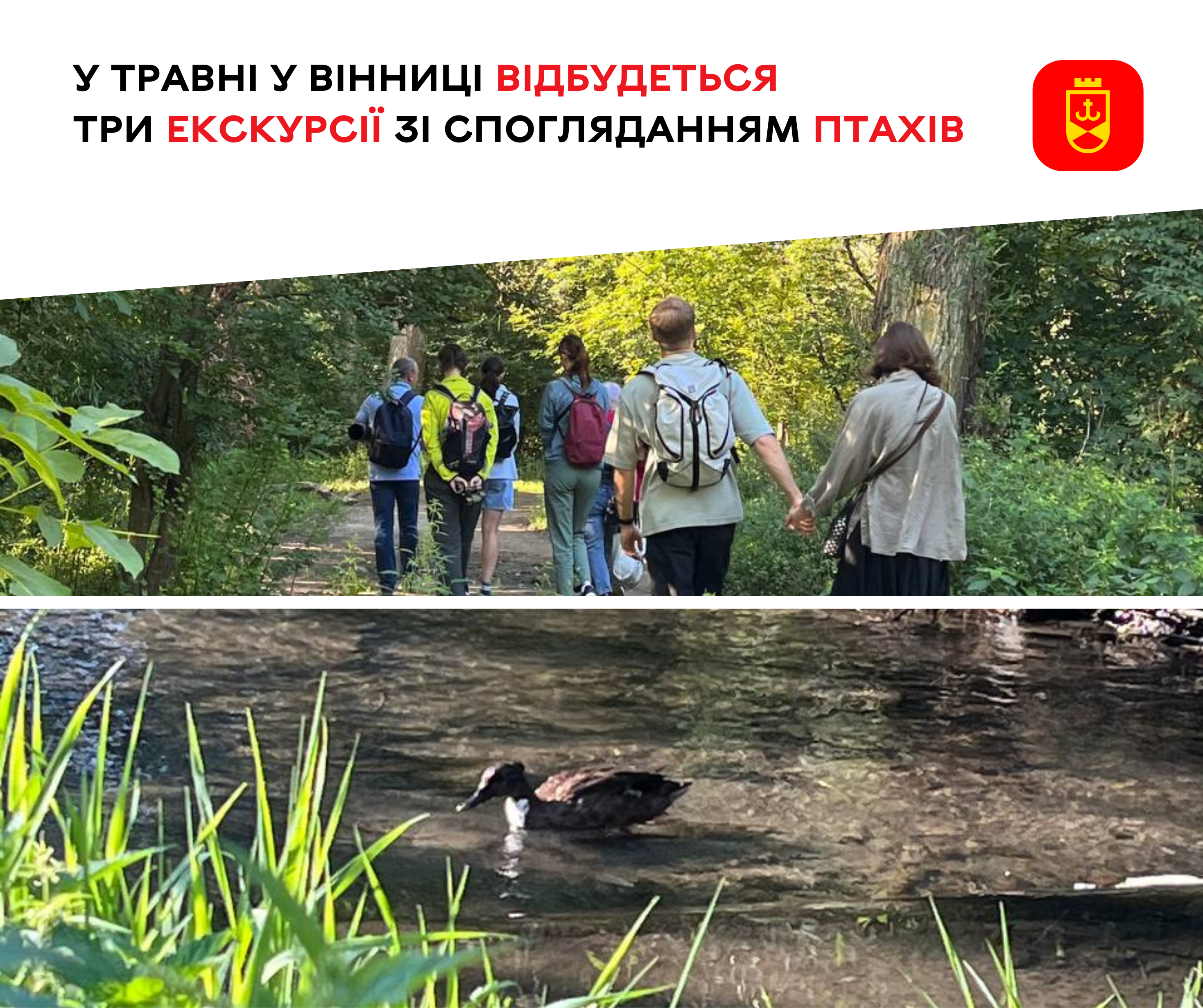 У травні у Вінниці організують три екскурсії для спостереження за птахами у природному середовищі