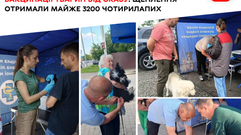 У приватному секторі Вінниці провакцинували майже 3200 чотирилапих проти сказу