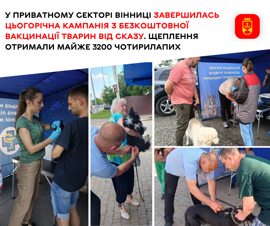 У приватному секторі Вінниці провакцинували майже 3200 чотирилапих проти сказу
