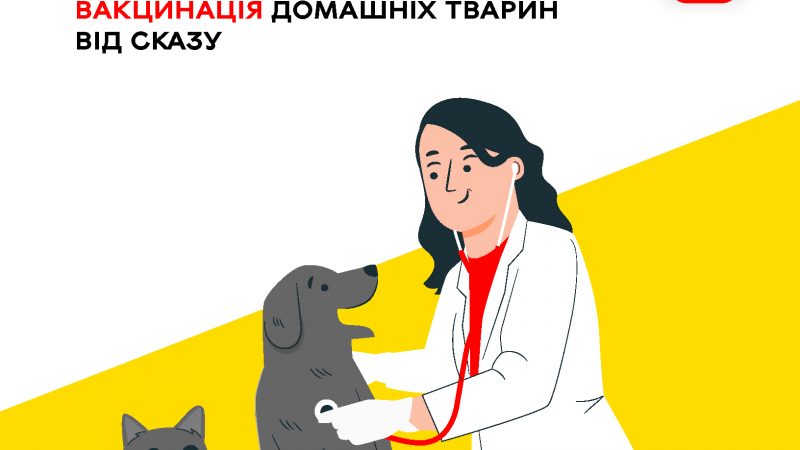 У Вінницько-Хутірському окрузі проведуть безкоштовну вакцинацію домашніх тварин проти сказу