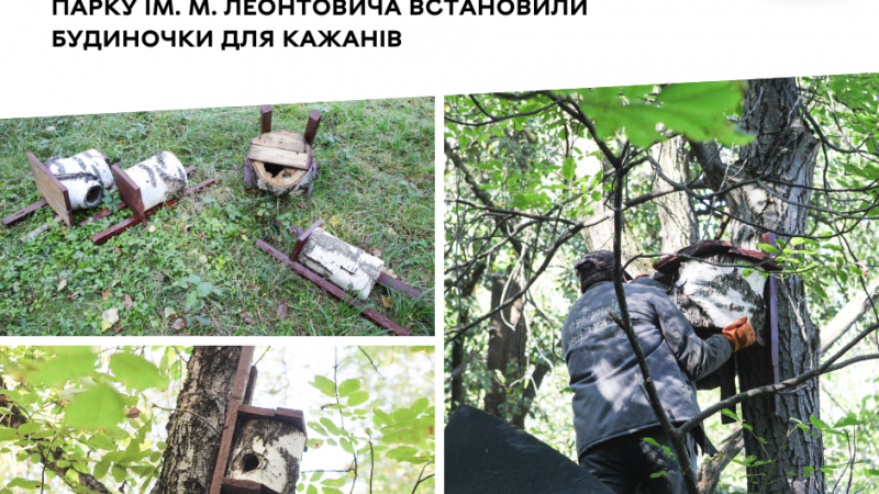 У Центральному парку імені М. Леонтовича з’явилися спеціальні будиночки для кажанів