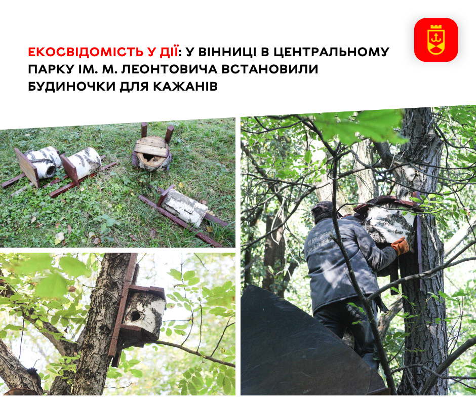 У Центральному парку імені М. Леонтовича з’явилися спеціальні будиночки для кажанів