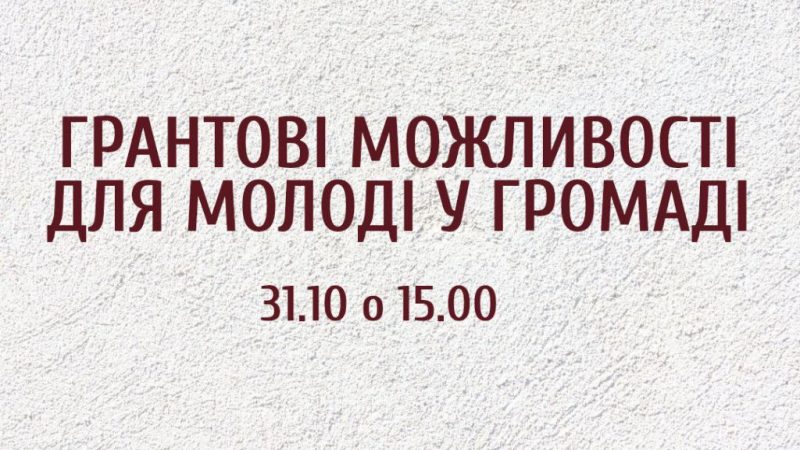 Молодь Вінниці може ознайомитися з процедурою подання грантових заявок та отримання фінансування