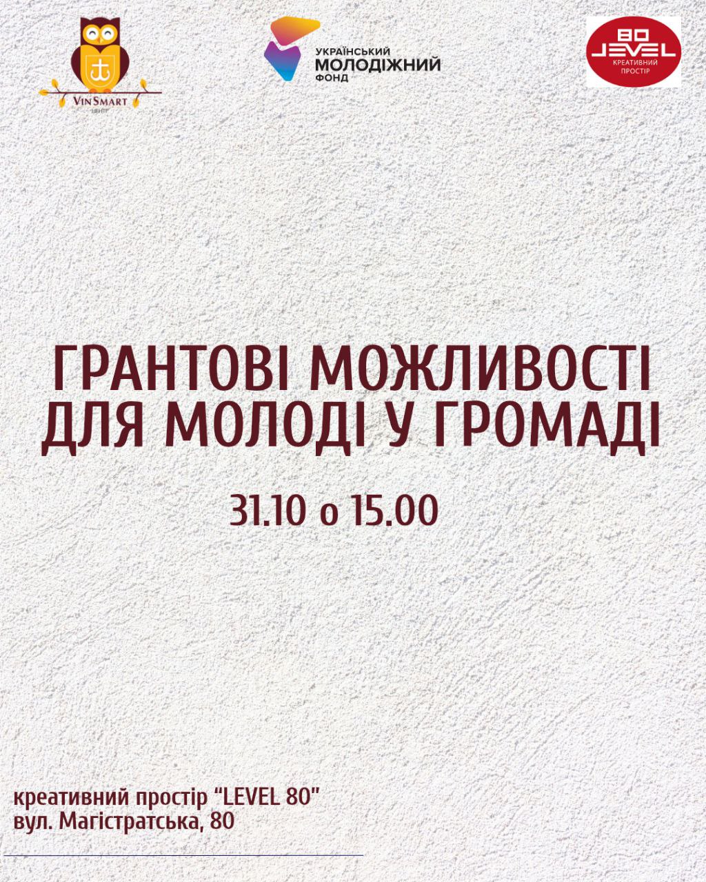 Молодь Вінниці може ознайомитися з процедурою подання грантових заявок та отримання фінансування