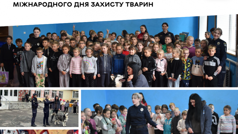 Діти Вінницької громади долучаються до допомоги тваринам