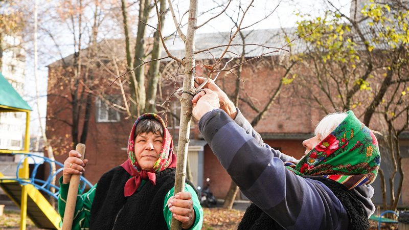 Розпочинається осіння кампанія з озеленення прибудинкових територій