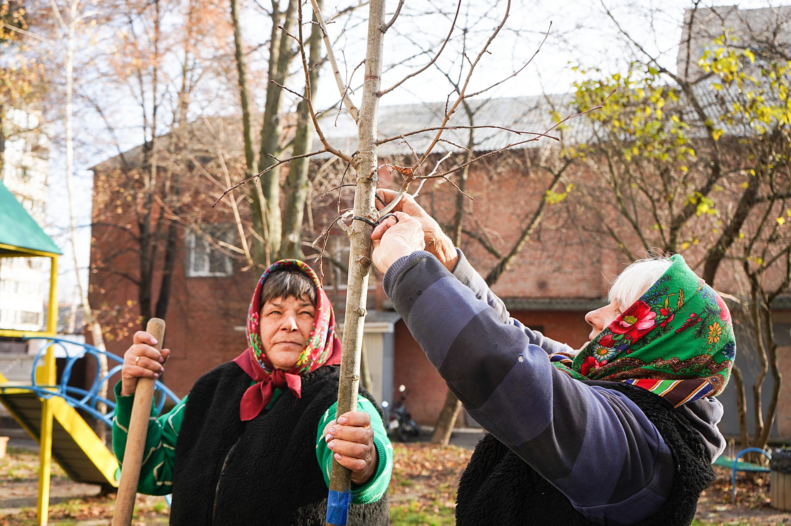 Розпочинається осіння кампанія з озеленення прибудинкових територій