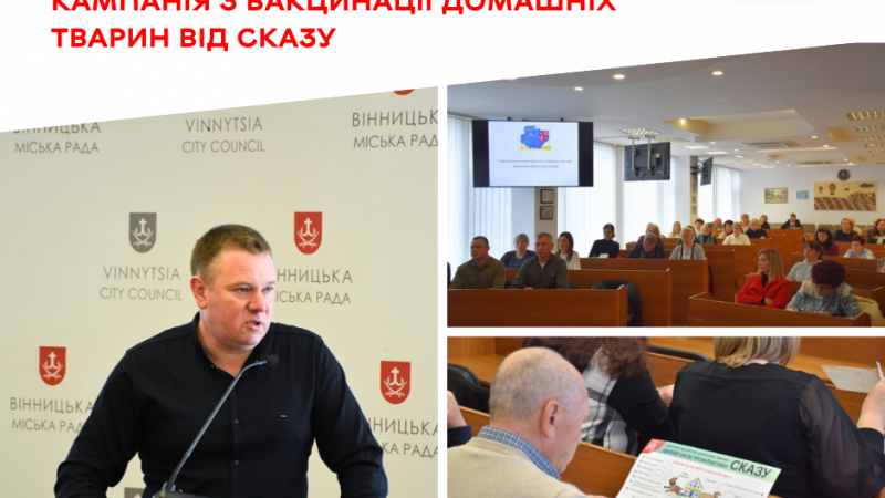 1 травня у приватному секторі Вінниці стартує вакцинація домашніх улюбленців