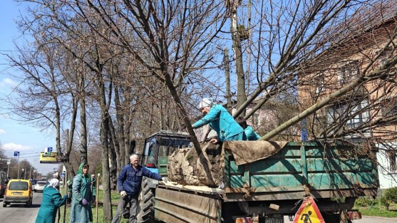 У межах весняного озеленення на Хмельницькому шосе висаджують нові дерева