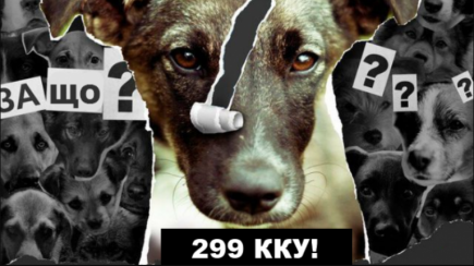 Здер шкуру і відрізав лапи сусідського пса: суд відправив жителя Турбова у в’язницю за жорстоке поводження з твариною