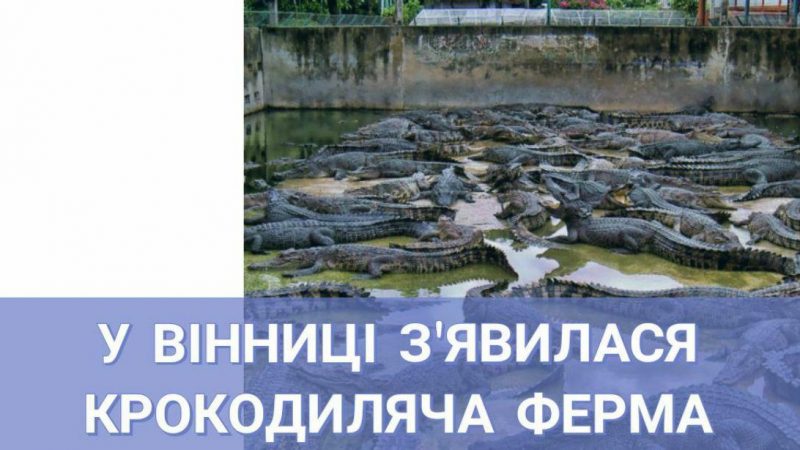 У Вінниця з’явилася крокодиляча ферма