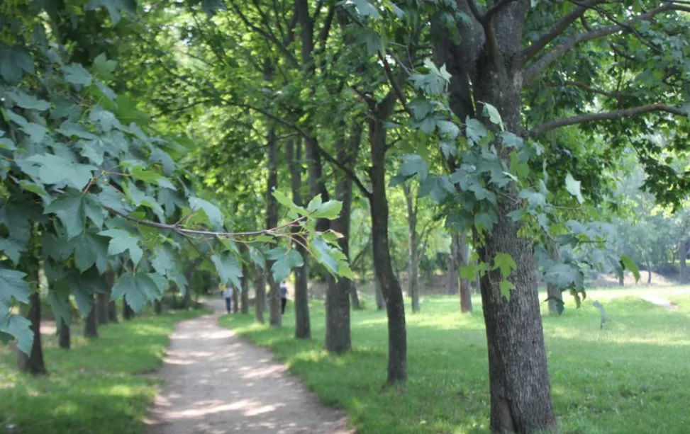 У Вінниці проведуть реконструкцію парку «Інтеграл», що на Тяжилові
