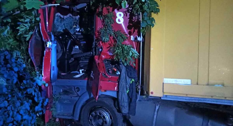 Страшна ДТП на Вінниччині. Вантажівка врізалась в дерево