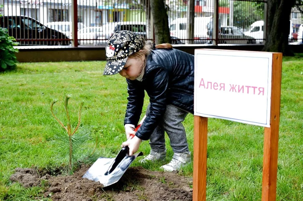 У Вінниці саджатимуть яблуні на честь донорів