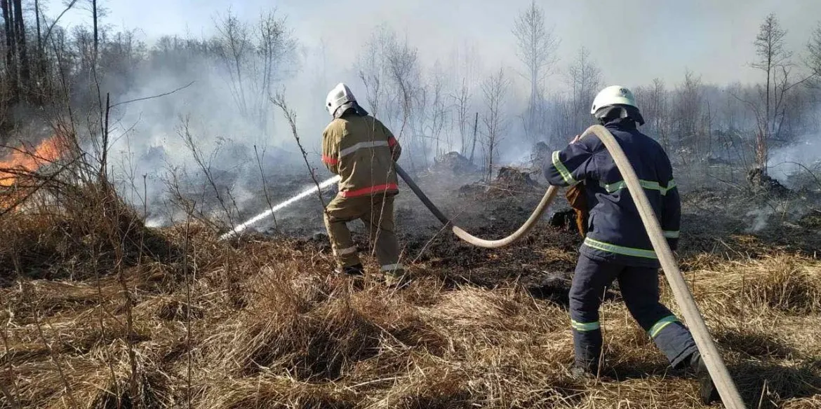 Пожежники Вінниччини 49 разів виїжджали на боротьбу з пожежою у екосистемах протягом останньої доби