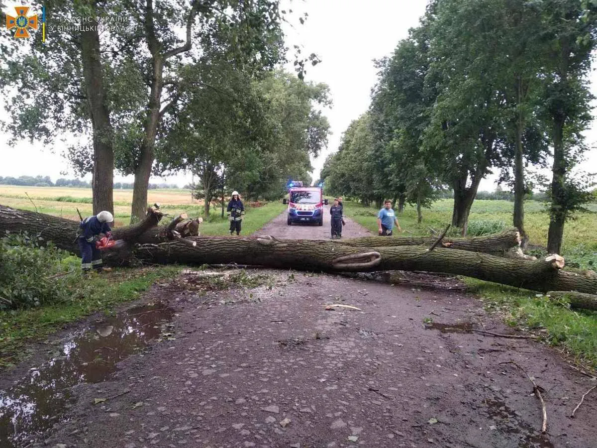 На Вінниччині негода повалила дерева та знеструмила 29 населених пунктів