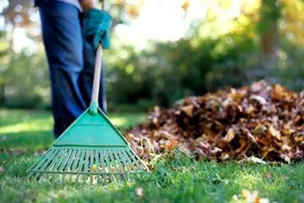 У Вінниці пропонують створити службу, що займатиметься підтримуванням чистоти у місті