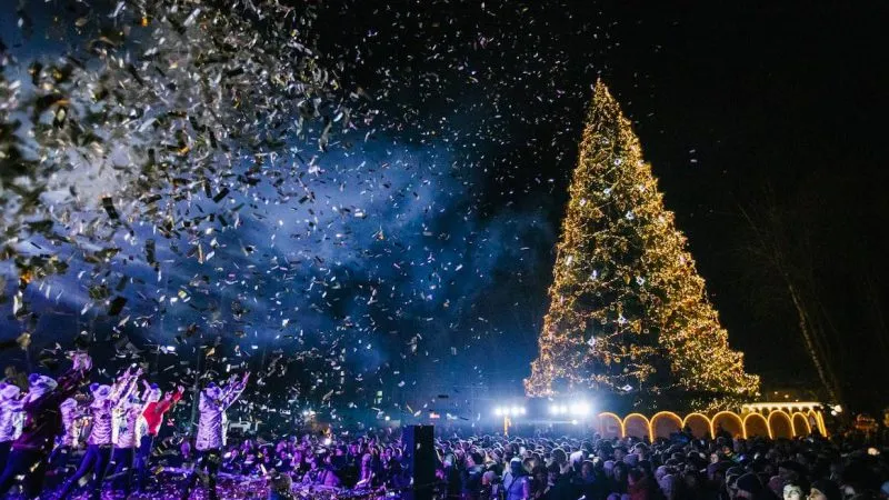 Відкриття ялинки у Центральному парку Вінниці заплановане на 19 грудня