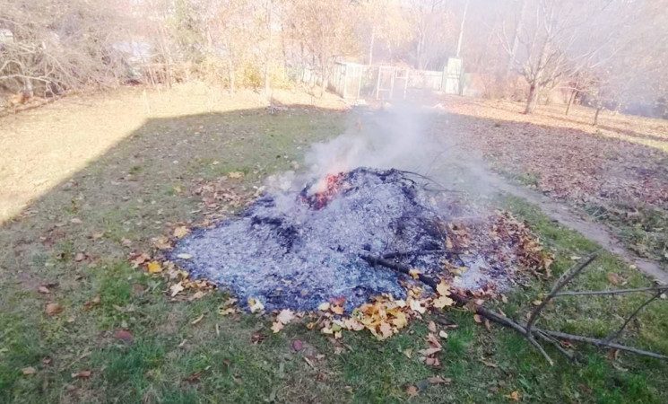Вінничанам нагадли про заборону спалювання опалого листя