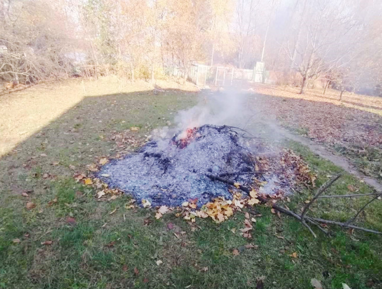 Вінничанам нагадли про заборону спалювання опалого листя