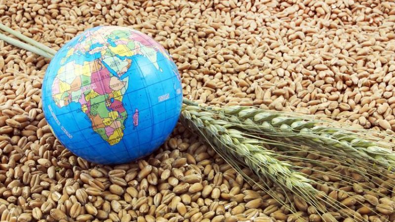 Єврокомісія створила план, щоб Україна могла експортувати своє зерно