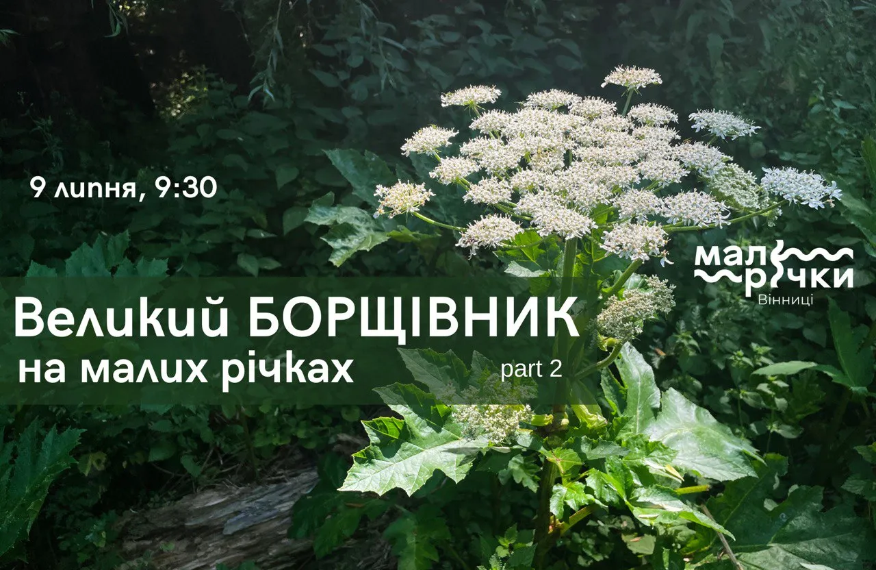 Вінничан запрошують долучитись до боротьби з інвазійною рослиною