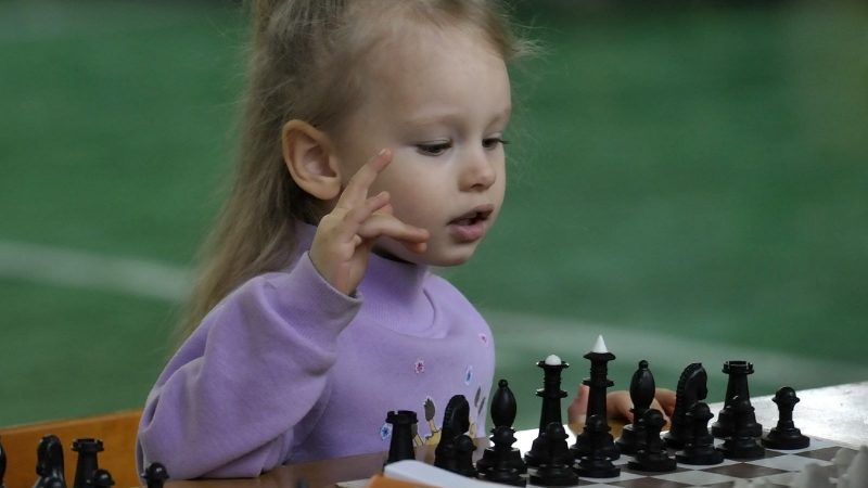 Нещодавно у Вінницькому міському палаці дітей та юнацтва імені Лялі Ратушної відбувся відкритий дитячий благодійний турнір початківців із шахів «Шаховий дебют»