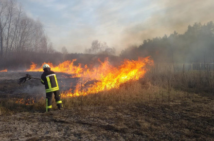 У Вінниці відновили рейди по виявленню випадків спалювання відходів рослинного походження: деталі