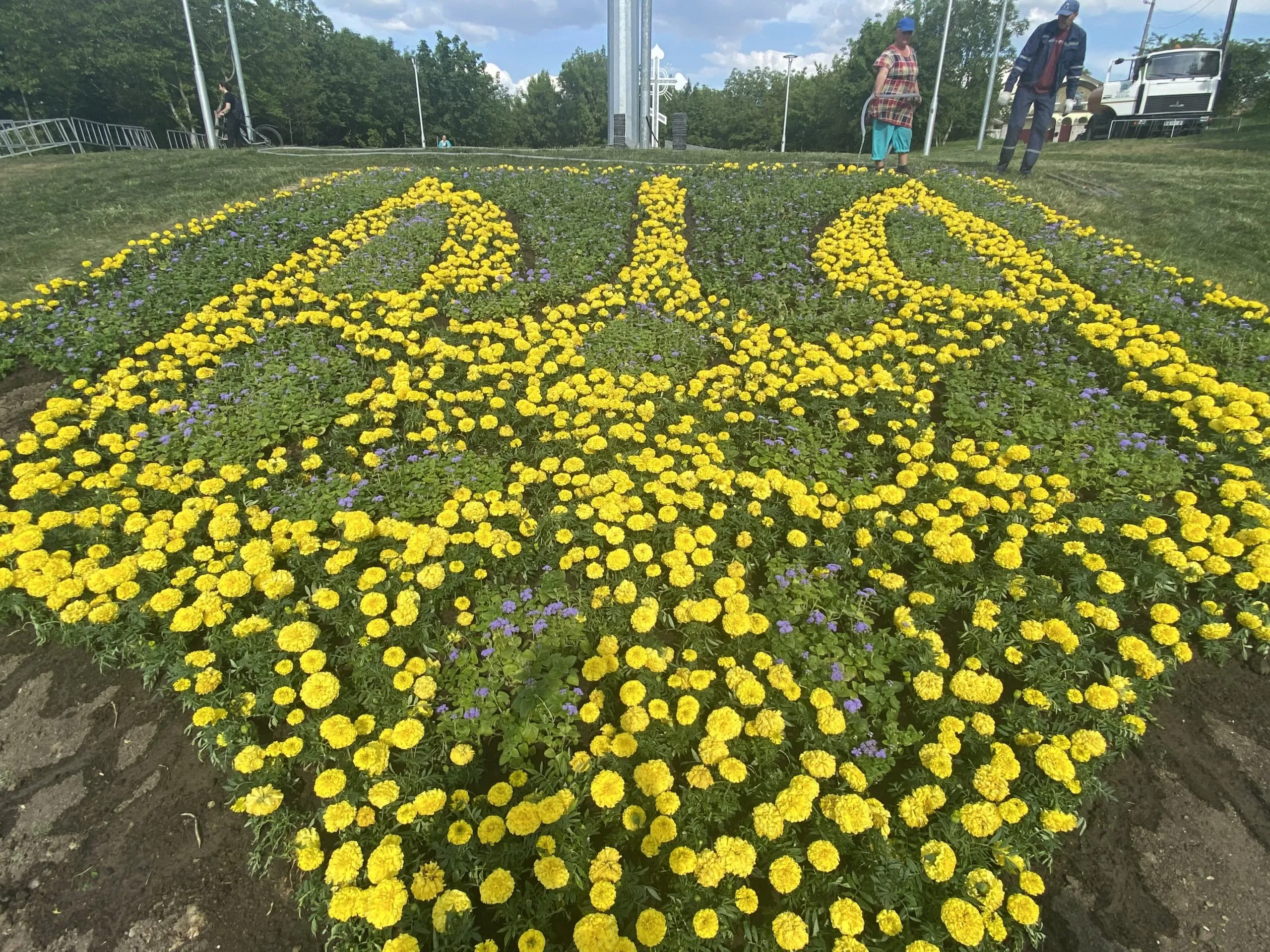 У вигляді Герба України у Вінниці знову на Замковій горі висадили квіткове панно