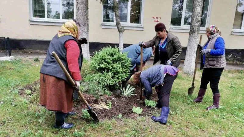 У Вінницько-Хутірському окрузі висадили півтисячі кущів троянд