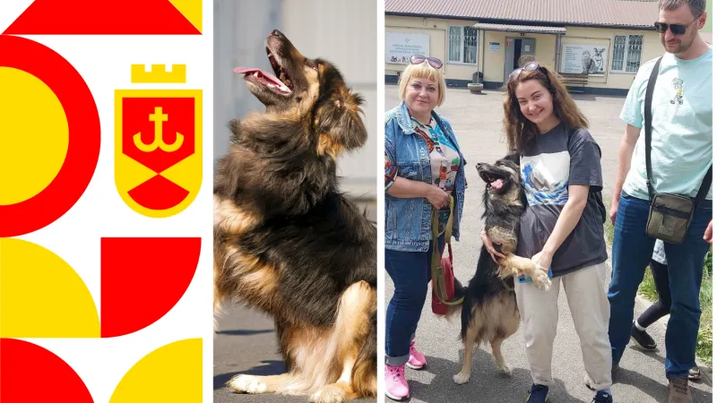 Історія пса Майка, якому в Вінницькому притулку ампутували лапу, чим врятували життя