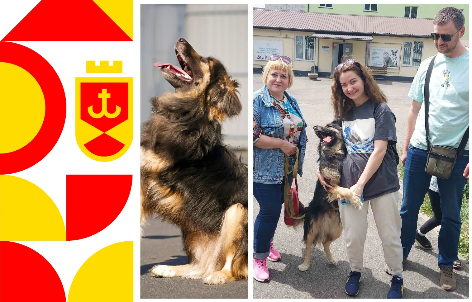 Історія пса Майка, якому в Вінницькому притулку ампутували лапу, чим врятували життя