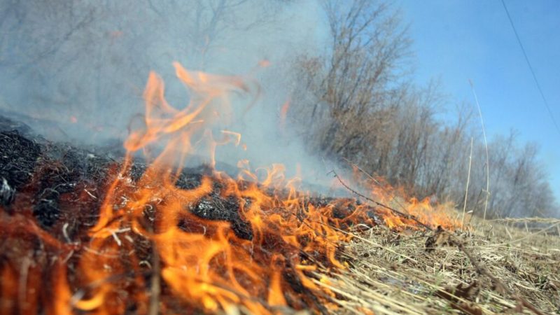 Вінничанам нагадали про заборону спалювання сухого листя та трави