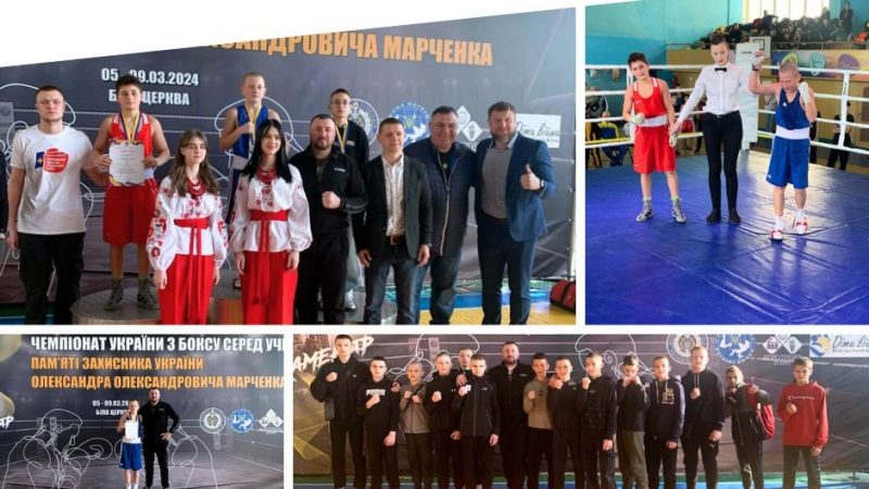 Вінничани здобули «золото» та «бронзу» на чемпіонаті України з боксу