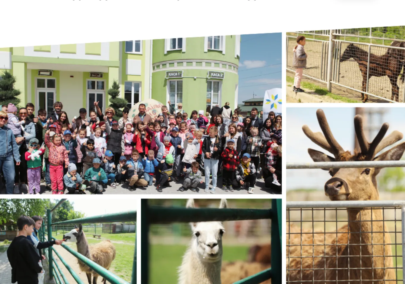 Черговий похід до Подільського зоопарку для дітей Вінницької громади