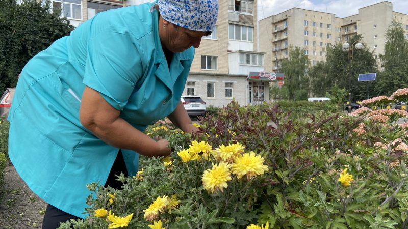 Підтримка озеленення Вінниці: обладнання та інклюзивні програми для працівників